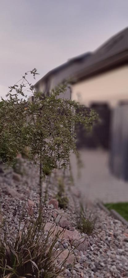 Apartmán Monti Mosty Exteriér fotografie